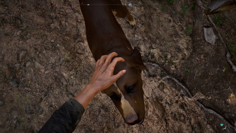 Illustration for article titled Far Cry 5 Has Some Very Good Dogs